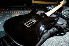 SCHECTER SD-2-24-AL/AMB/M_9
