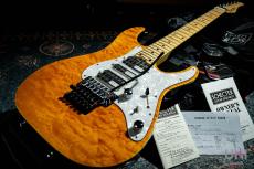 SCHECTER SD-2-24-AL/AMB/M_10