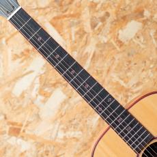 Taylor C12e B6029_6