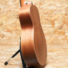 Taylor GS Mini-e Special Edition Trans Black_5