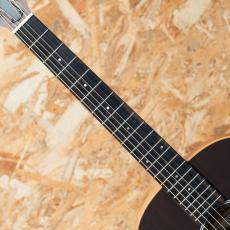 Taylor GS Mini-e Special Edition Trans Black_6
