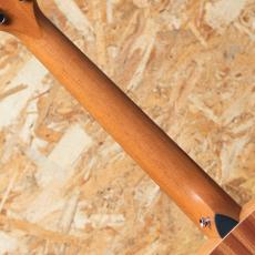 Taylor GS Mini-e Special Edition Trans Black_7