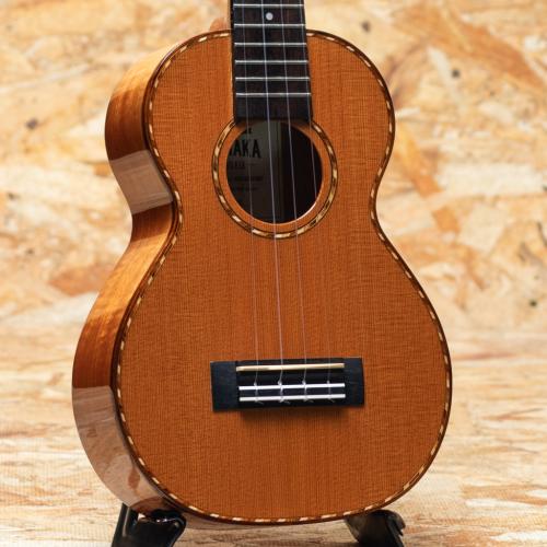 Kamaka HF-2DC Concert 2021