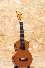 Kamaka HF-2DC Concert 2021_3