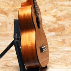 Kamaka HF-2DC Concert 2021_4