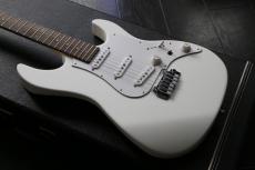 FUJIGEN EXPERT-OS/AL  MATTE  WHITE ハカランダ指板　Bare Knuckle The Mother's Milk PU