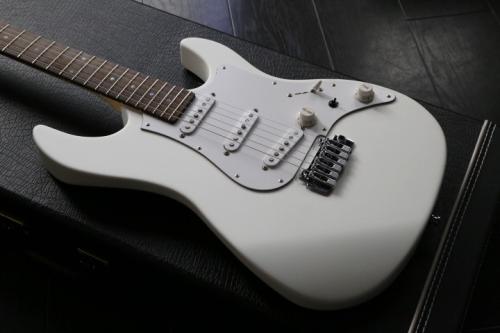 FUJIGEN EXPERT-OS/AL  MATTE  WHITE ハカランダ指板　Bare Knuckle The Mother's Milk PU