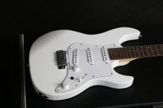 FUJIGEN EXPERT-OS/AL  MATTE  WHITE ハカランダ指板　Bare Knuckle The Mother's Milk PU_6
