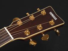 YAMAHA LL6 ARE BS ~Brown Sunburst~_3