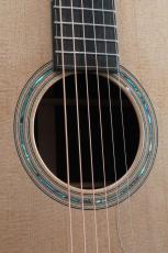 Sunami Guitars S_10