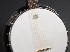 Blanton BG-10 Guitar Banjo_4
