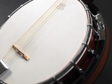 Blanton BG-10 Guitar Banjo_5