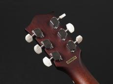 Blanton BG-10 Guitar Banjo_9