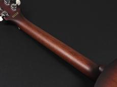 Blanton BG-10 Guitar Banjo_10