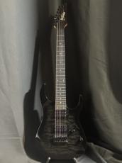 Ibanez RGR7221QA_2