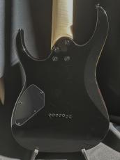 Ibanez RGR7221QA_4