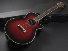 Takamine FP391MR 1994年製_2