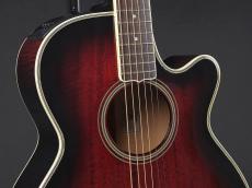Takamine FP391MR 1994年製_4