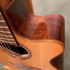 LAG Guitars T-118ACE_3