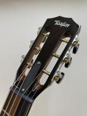 Taylor 812ce 12Fret_8
