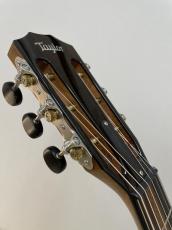 Taylor 812ce 12Fret_9