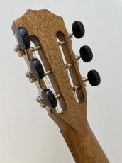 Taylor 812ce 12Fret_10