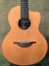 Lowden S-25J w/Fishman Matrix Infinity -2015USED-【48回迄金利0%対象】_2