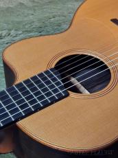 Lowden S-25J w/Fishman Matrix Infinity -2015USED-【48回迄金利0%対象】_9