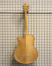 Eastman AR910CE_2