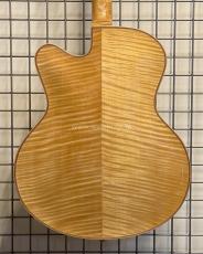 Eastman AR910CE_4
