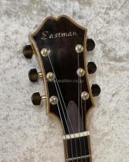Eastman AR910CE_5