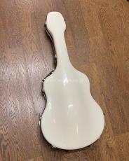 Eastman AR910CE_7