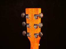 Martin MTV-1 Unplugged Model【限定697本 ローズウッドとマホガニーのハーフ&ハーフなサイドバック材仕様の特別モデル! クリスマーチン4世の遊び心満載のモデルです! 】解説試奏動画ご覧ください。_9