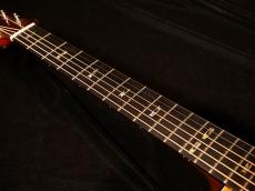 Martin MTV-1 Unplugged Model【限定697本 ローズウッドとマホガニーのハーフ&ハーフなサイドバック材仕様の特別モデル! クリスマーチン4世の遊び心満載のモデルです! 】解説試奏動画ご覧ください。_11