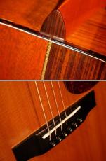 Martin MTV-1 Unplugged Model【限定697本 ローズウッドとマホガニーのハーフ&ハーフなサイドバック材仕様の特別モデル! クリスマーチン4世の遊び心満載のモデルです! 】解説試奏動画ご覧ください。_13