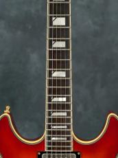 Fender Japan ES-RF Robben Ford Model ATB_5