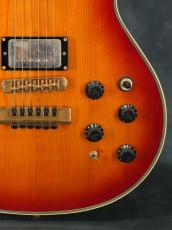 Fender Japan ES-RF Robben Ford Model ATB_9