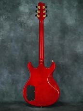 Fender Japan ES-RF Robben Ford Model ATB_10