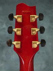 Fender Japan ES-RF Robben Ford Model ATB_11
