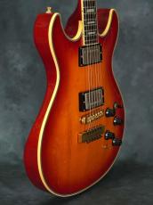Fender Japan ES-RF Robben Ford Model ATB_16