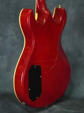 Fender Japan ES-RF Robben Ford Model ATB_17