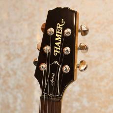 Hamer Artist Semi hollow Korina_3