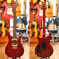 Paul Reed Smith [PRS] SE Custom 24_2
