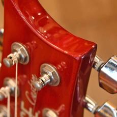 Paul Reed Smith [PRS] SE Custom 24_3
