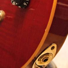 Paul Reed Smith [PRS] SE Custom 24_4