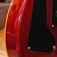 Paul Reed Smith [PRS] SE Custom 24_5
