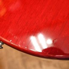 Paul Reed Smith [PRS] SE Custom 24_7
