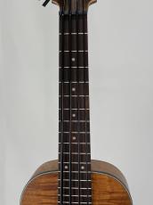 KALA 【決算セール特価!8/31まで】UBASS EM-FS_4