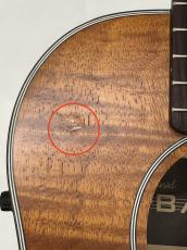 KALA 【決算セール特価!8/31まで】UBASS EM-FS_9
