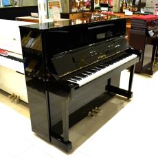 YAMAHA 中古/YM11
